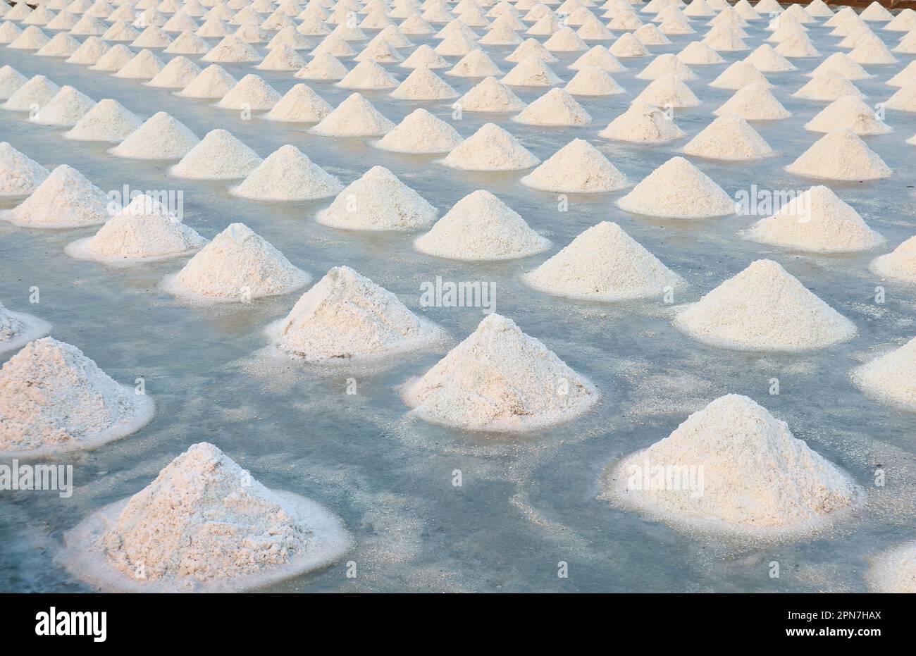 Les pieux de sel de mer récoltés étant laissés au soleil pendant des jours pour sécher l'eau, mine de sel dans la province de Petchaburi, Thaïlande Banque D'Images