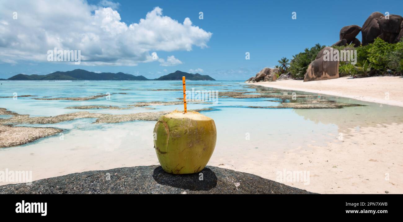 Boisson fraîche à la noix de coco sur la plage de la Digue, Seychelles. Banque D'Images