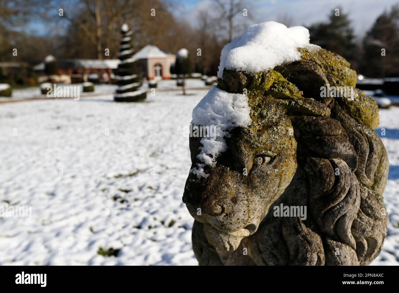 Jardin d'hiver sous la neige en Bourgogne. Lion de pierre. Bourgogne. France. Banque D'Images