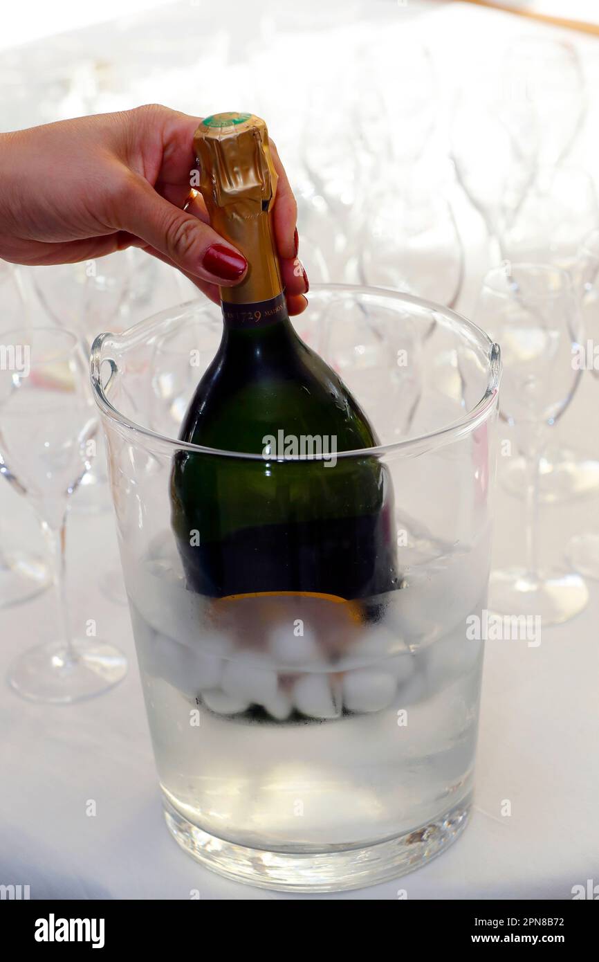 Fête. Bouteille de champagne dans un seau à glace avec flûtes sur la table. France. Banque D'Images