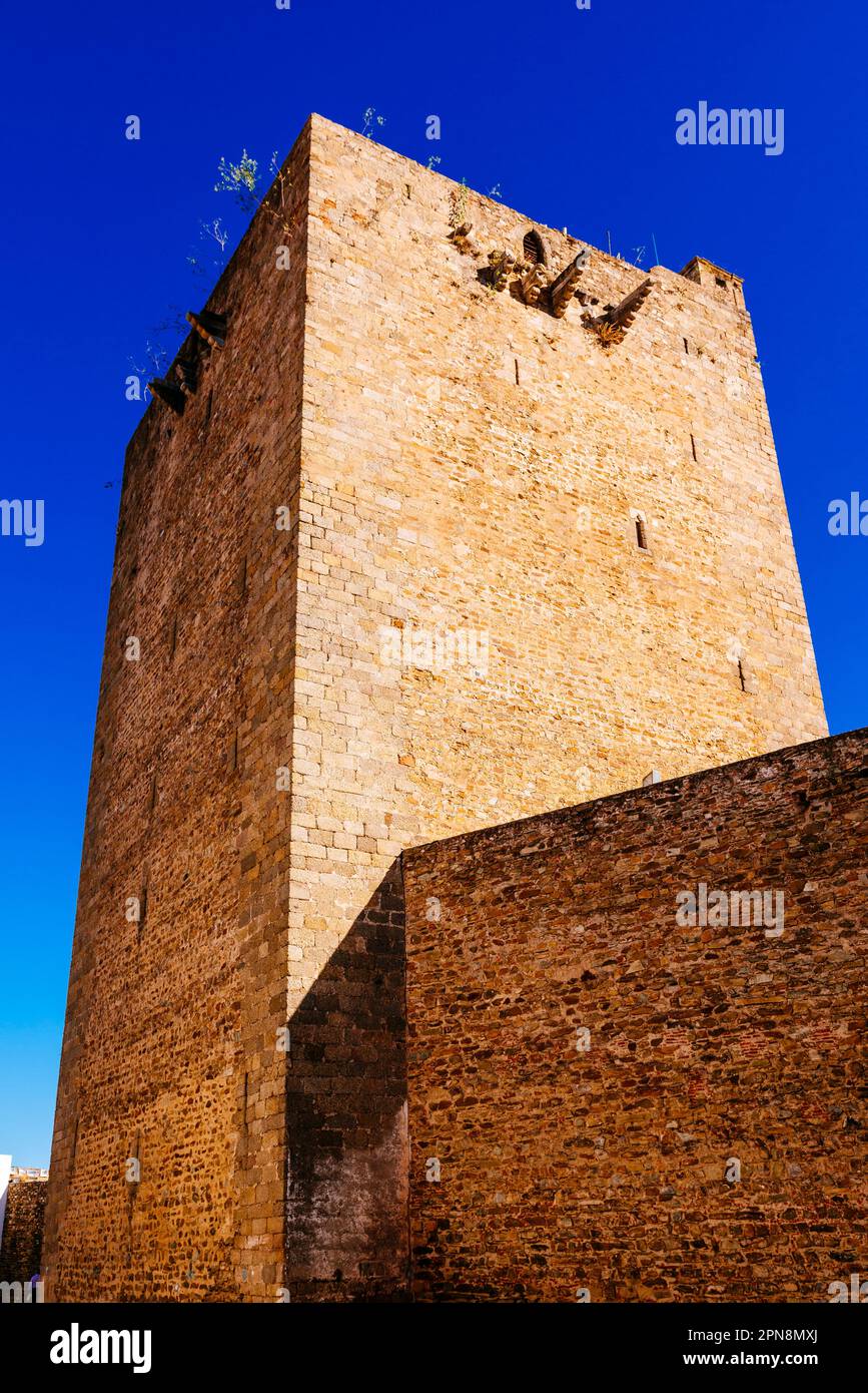 Détail de la conservation. Château d'Olivenza. Il occupe le site d'une ancienne forteresse des Templiers datant du 13th siècle. En 1334, le roi Afonso IV a commencé la construction Banque D'Images
