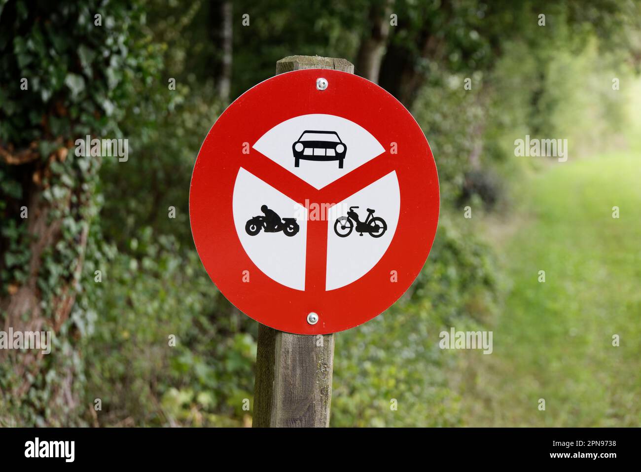 signalisation routière suisse: interdiction pour les voitures à moteur, les motos et les bicyclettes à moteur. jour nuageux sans personnes devant une route forestière Banque D'Images