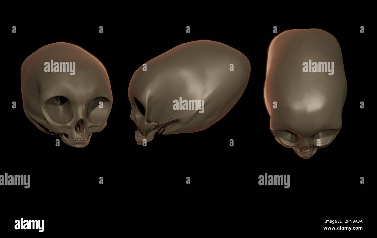 Crâne extraterrestre. Crâne extraterrestre allongé. 3d rendu de l'illustration Banque D'Images