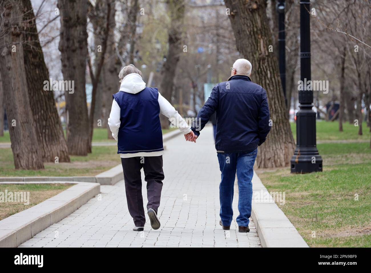 Homme et femme âgés marchant dans la rue Spring, vue arrière. Couple avec cheveux gris tenant les mains ensemble, concept de vieillesse Banque D'Images