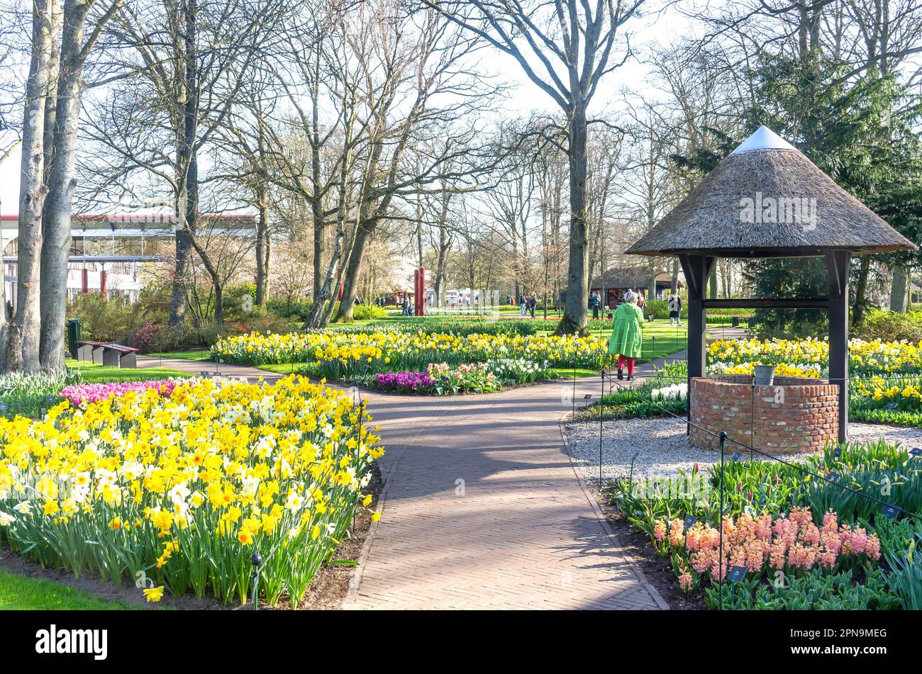 Champ de fleurs, Keukenhof Gardens, Lisse, Hollande-Méridionale (Zuid-Holland), Royaume des pays-Bas Banque D'Images