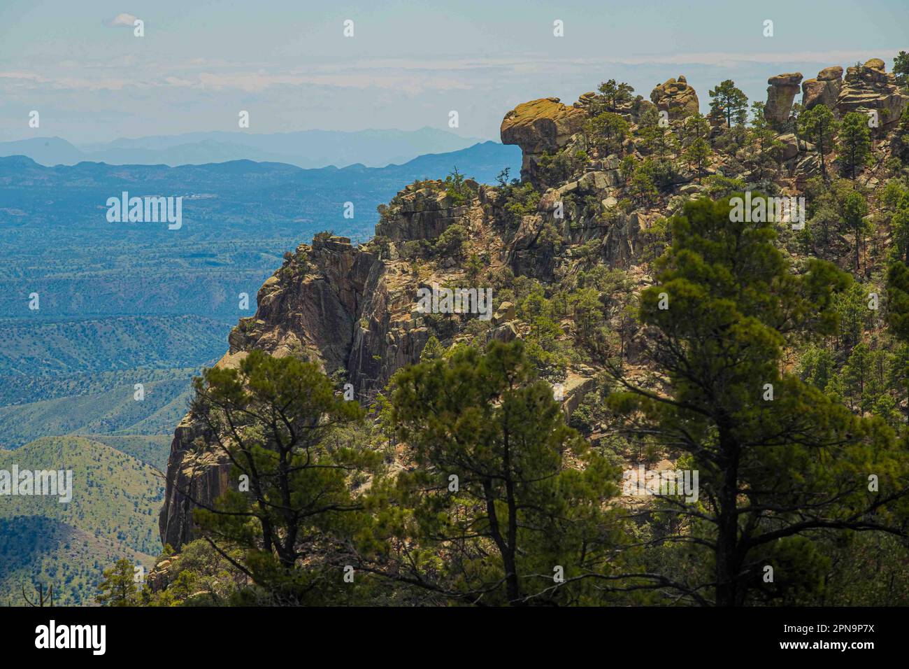 Paysage de forêt et de montagnes dans la Sierra Buenos Aires et la réserve forestière nationale AJOS-BAVISPE et la réserve naturelle de Sonora au Mexique. Expédition Banque D'Images