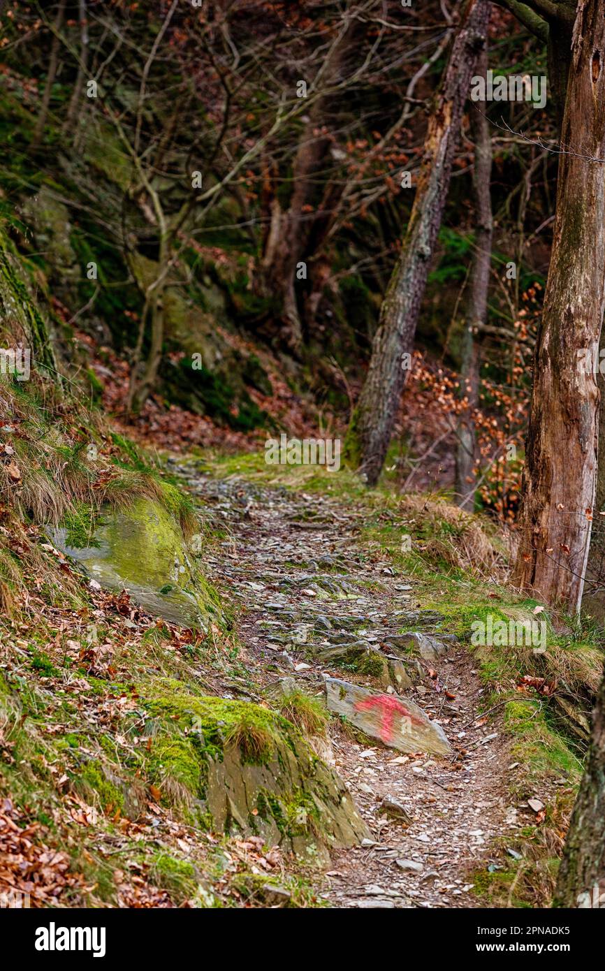 Selketal Sentier de randonnée dans le Harz Banque D'Images