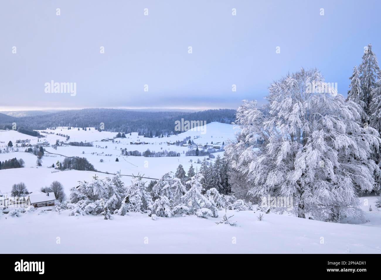 Hiver à Ibach, Hotzenwald, Bade-Wurtemberg, Allemagne Banque D'Images