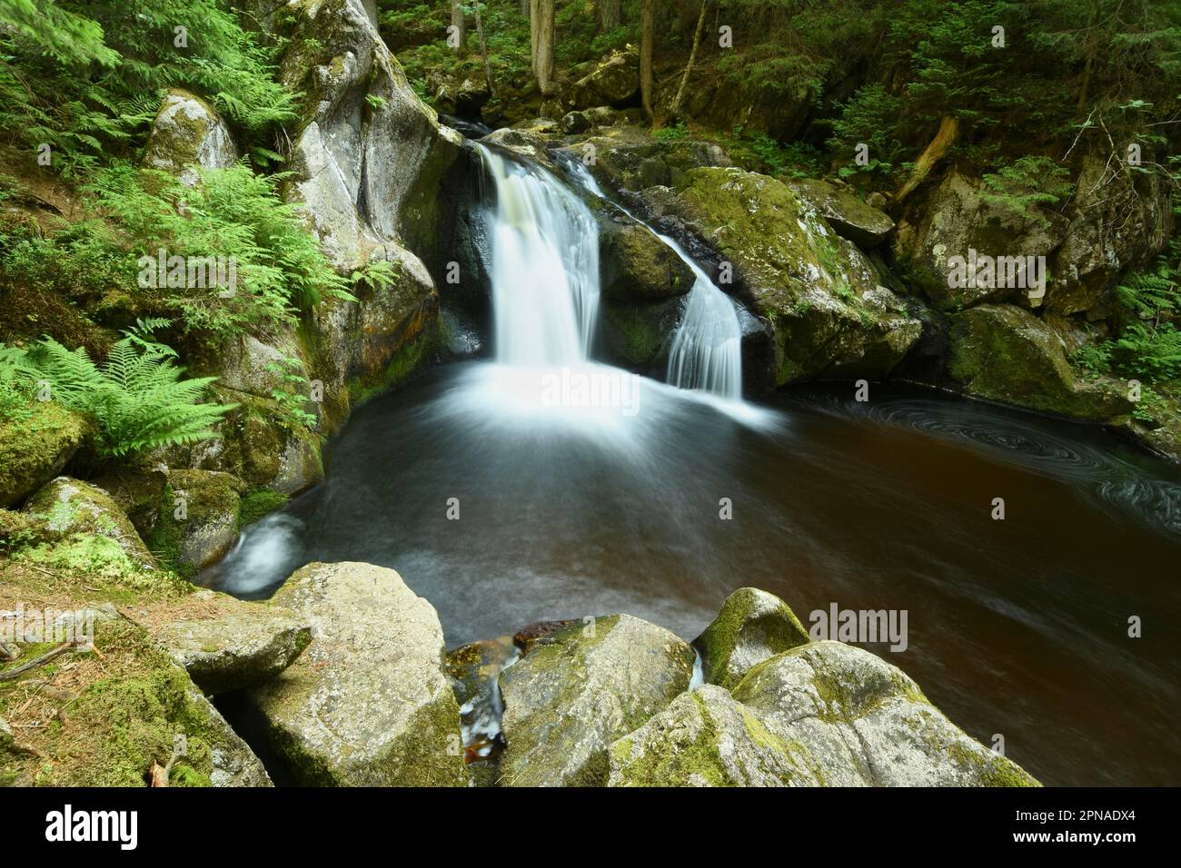 Cascade dans le Hotzenwald, Bade-Wurtemberg, Allemagne Banque D'Images