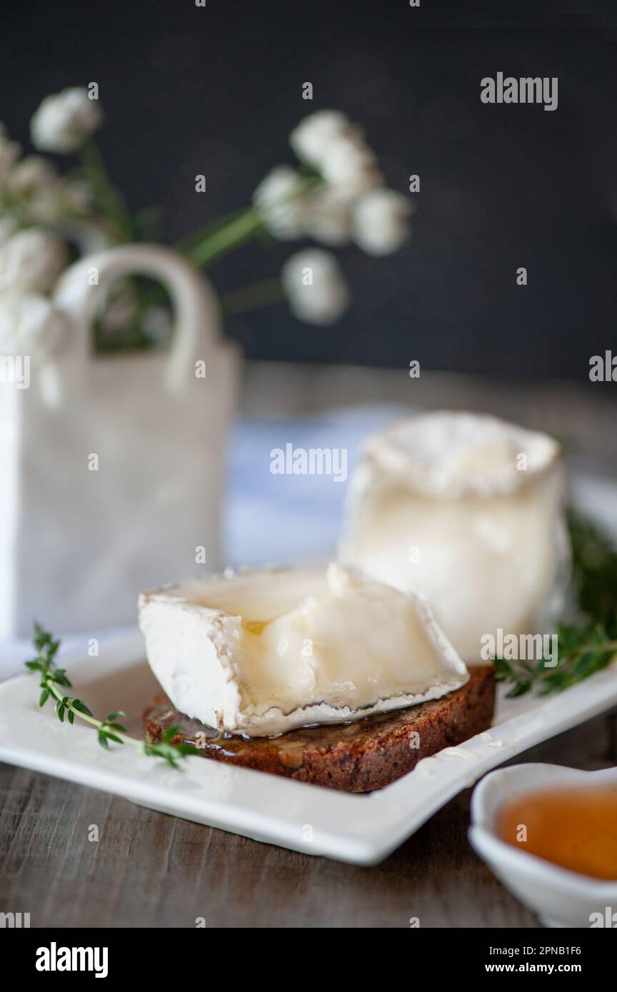 Le fromage de chèvre est utile des agriculteurs russes. Le fromage est servi avec du miel. Banque D'Images