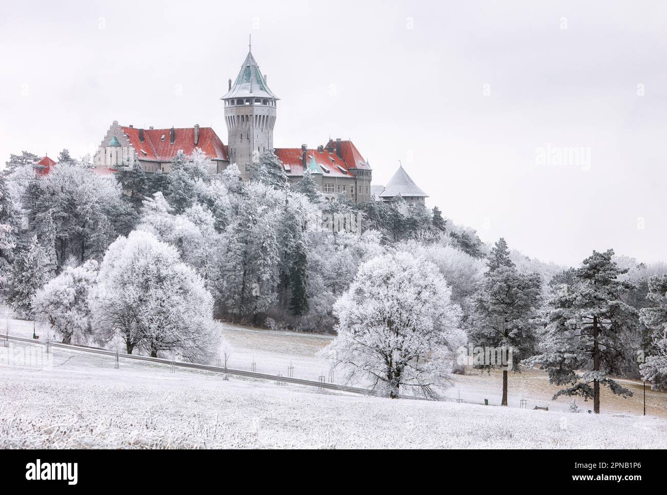 Hiver Forêt nuages Paysage avec château de Smolenice, Slovaquie Banque D'Images
