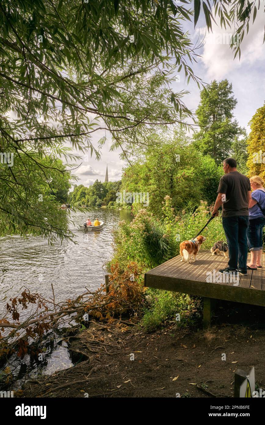 Couple chiens marchant le long de la rivière à Stratford upon Avon Angleterre Royaume-Uni. Scène rurale anglaise. Banque D'Images
