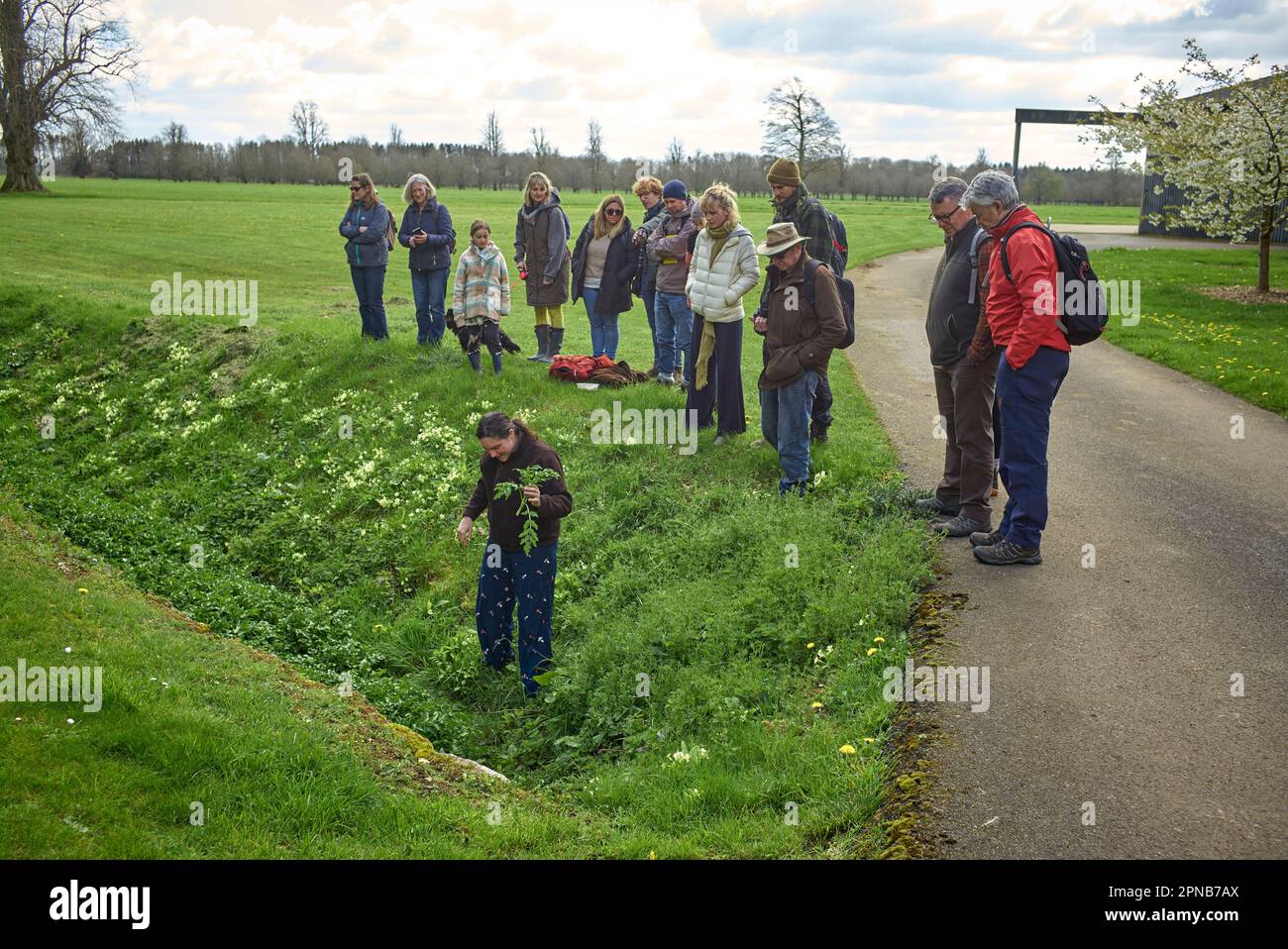 Un instructeur de recherche de nourriture de WildUK, Kerry Woodfield, organise un cours de recherche de nourriture sur le terrain de Charlton Park Estate, Wiltshire, Royaume-Uni. Watercress sauvage Banque D'Images