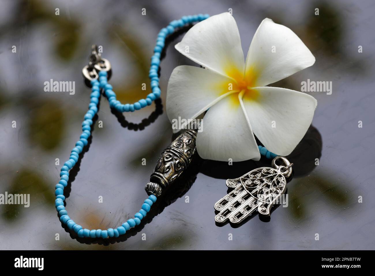 Magnolia et la proximité d'un vieil amulette de hamsa, également connu de la main de fatima ou de la main de Marie. Banque D'Images