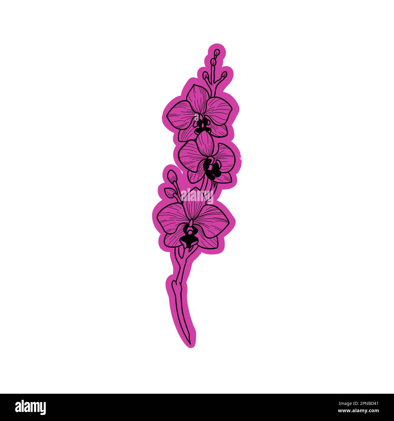 Illustration de fleur d'orchidée rose. Il s'agit d'une illustration polyvalente conçue pour diverses utilisations. Banque D'Images