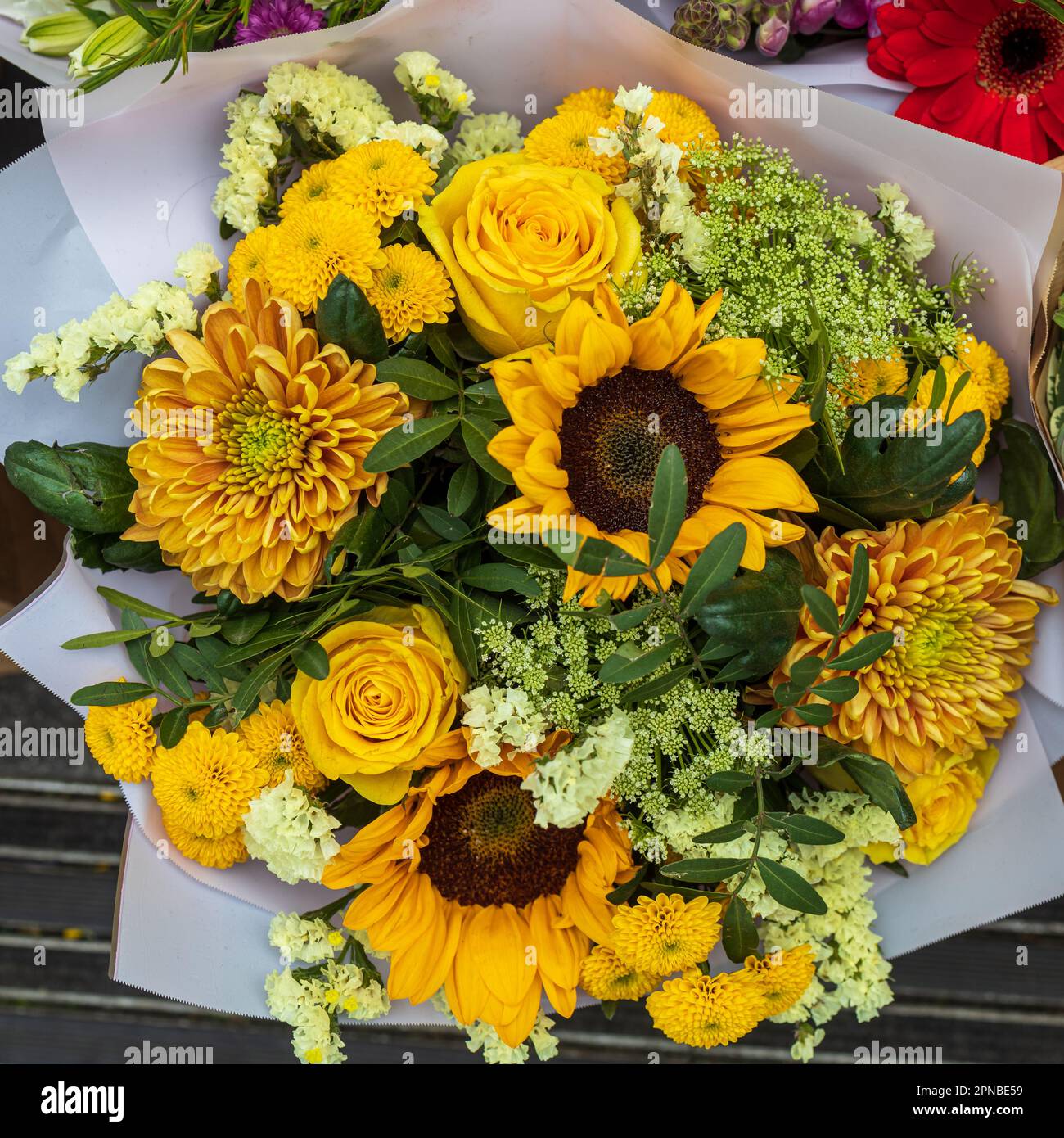 Chrysanthèmes jaunes, roses, tournesols et gerberas à l'eucalyptus dans un bouquet de tons jaunes Banque D'Images