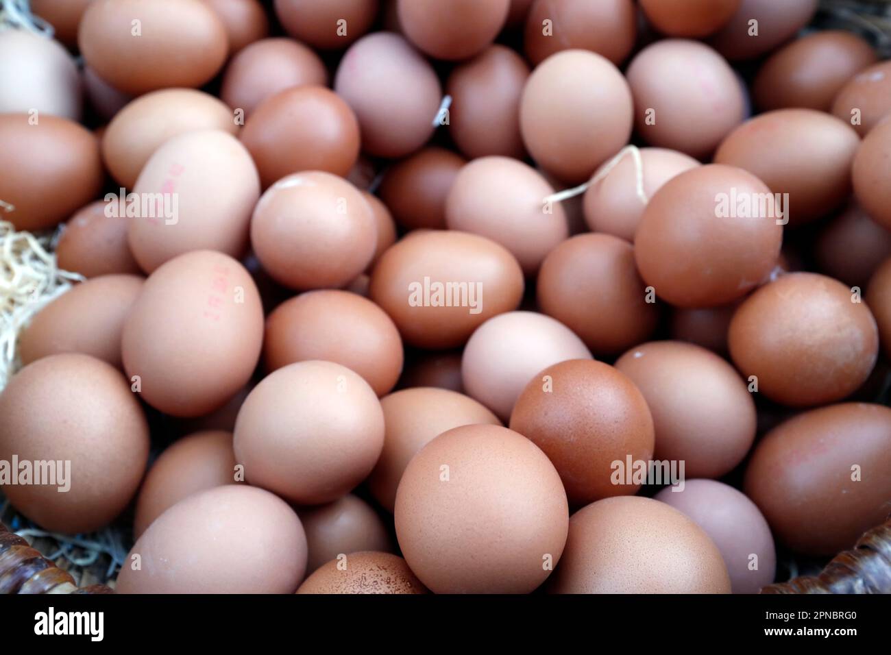 Œufs de ferme frais biologiques à la place du marché. France. Banque D'Images