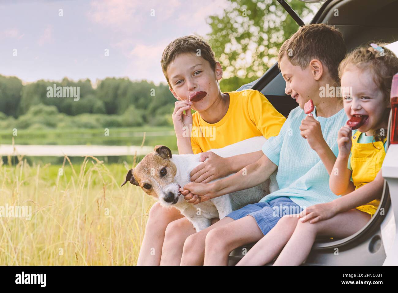 Famille voyageant en voiture ayant pique-nique dans la nature. Enfants souriants mangeant de la popsicle Banque D'Images