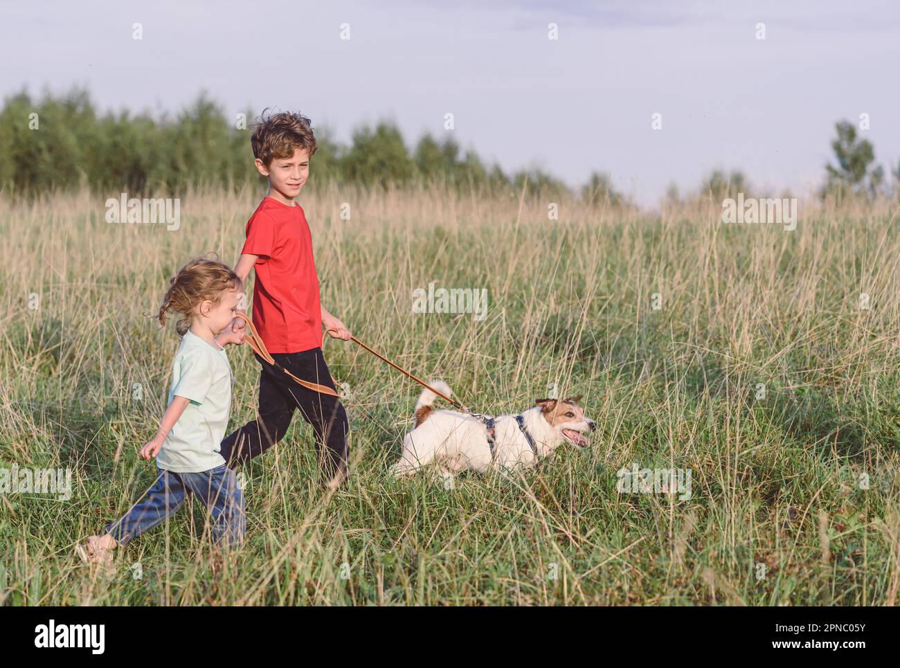 Famille marchant avec un chien dans la nature. Les enfants qui passent dans les prairies le jour d'été Banque D'Images