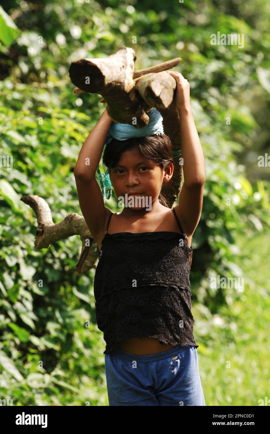 Une jeune fille porte une bûche équilibrée sur sa tête à l'intérieur du parc Cerro Verde. El Salvador, Amérique centrale. Banque D'Images