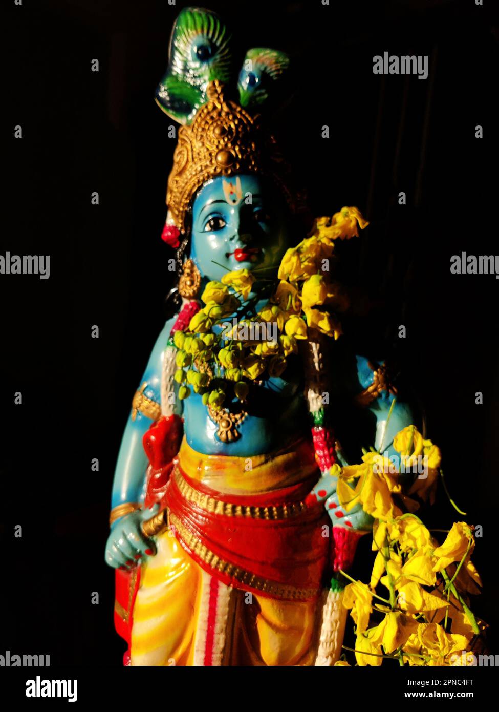 Idole bleue de Lord Krishna/fistule de Cassia/fleurs de douche d'or/Vishu kani/festival de Vishu/nouvel an malayaalm/Kerala Banque D'Images