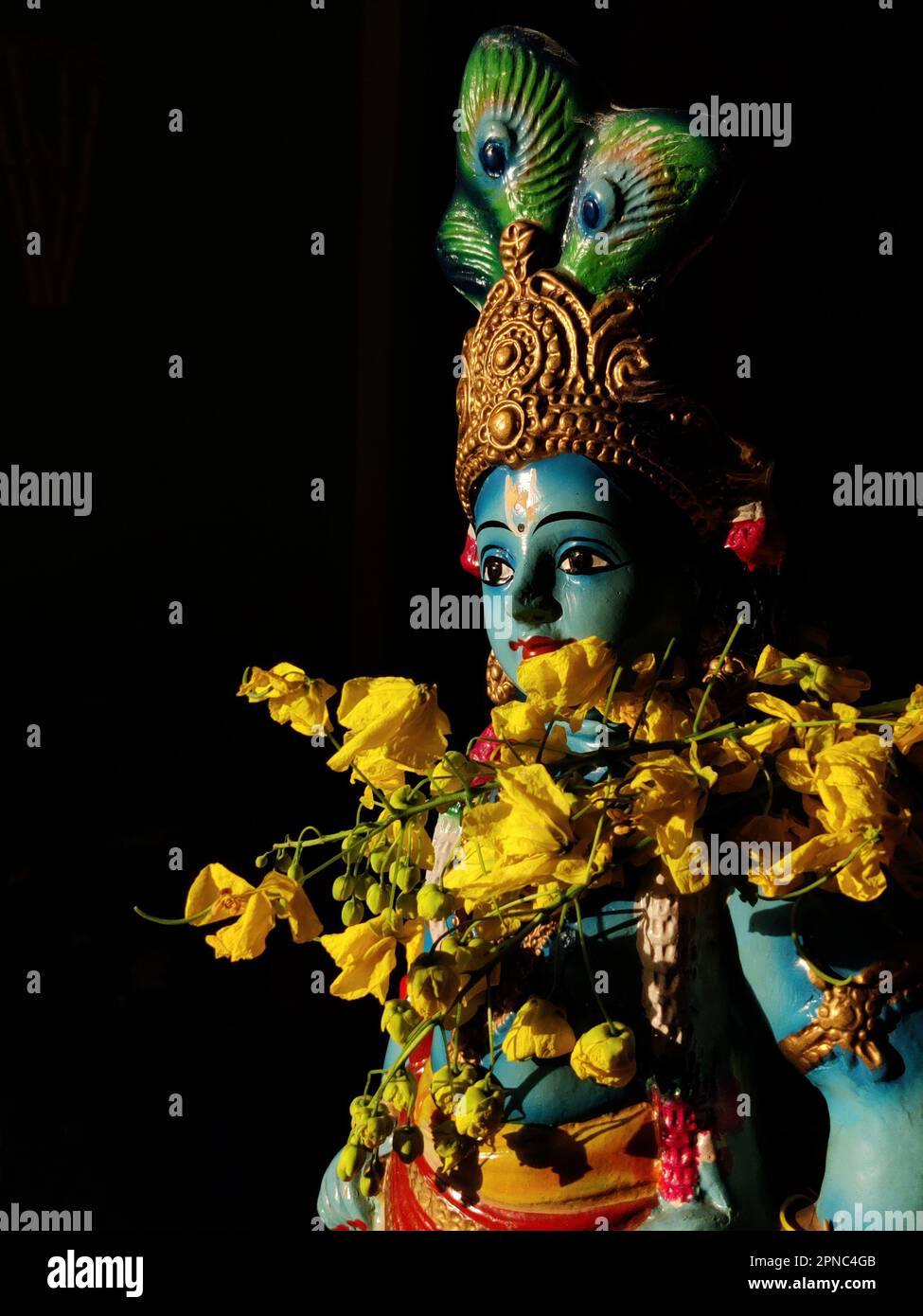 Idole bleue de Lord Krishna/fistule de Cassia/fleurs de douche d'or/Vishu kani/festival de Vishu/nouvel an malayaalm/Kerala Banque D'Images
