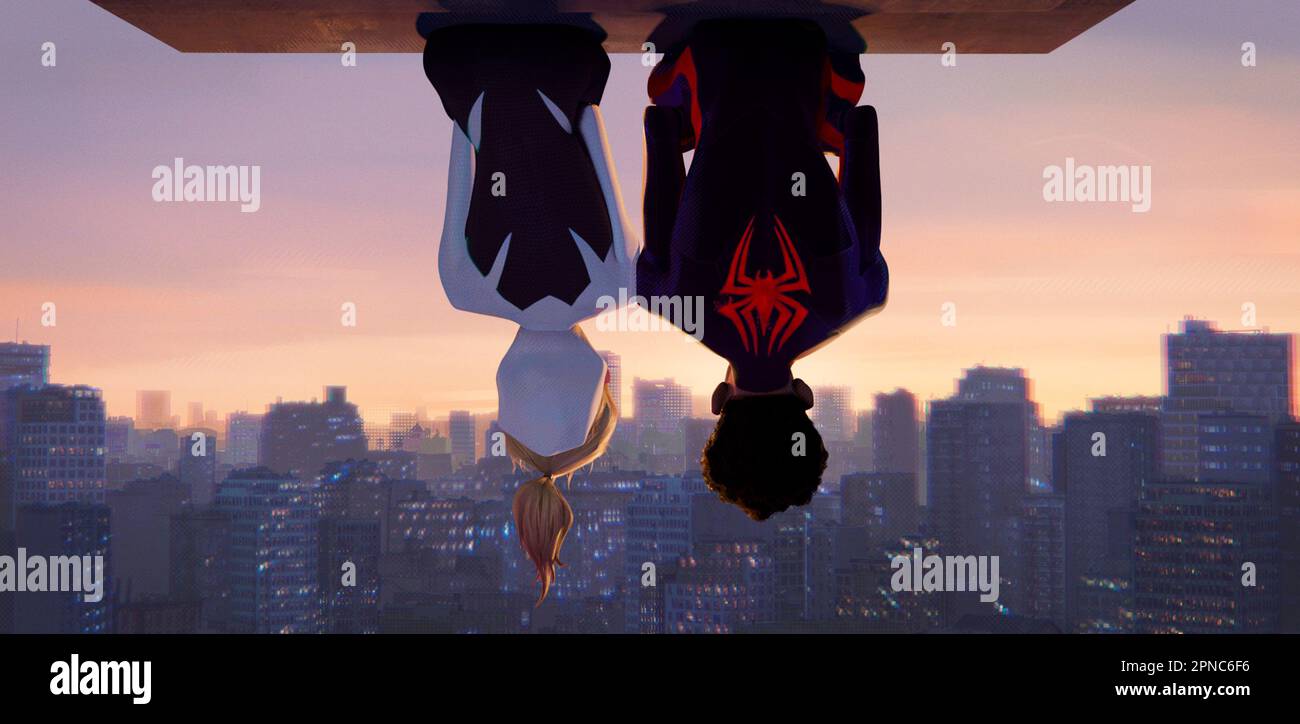 Spider-Man à travers le verset araignée Miles Morales & Gwen Stacy Banque D'Images