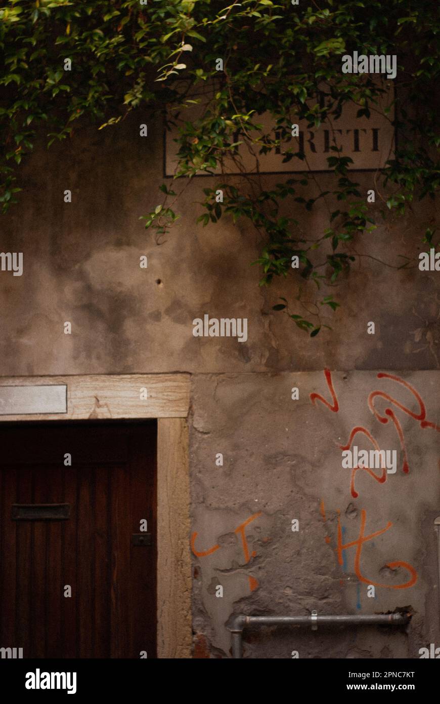 Vue sur le nom de la rue sur le mur près des plantes vertes Banque D'Images