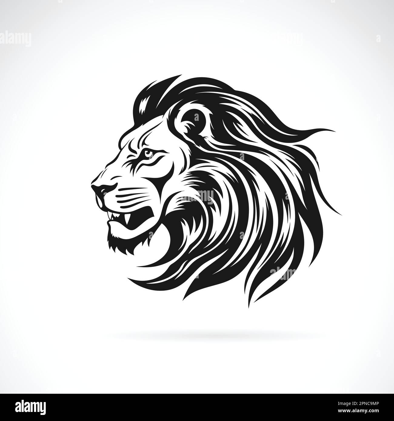 Vecteur d'une tête de lion sur fond blanc. Illustration vectorielle superposée facile à modifier.animaux sauvages. Illustration de Vecteur