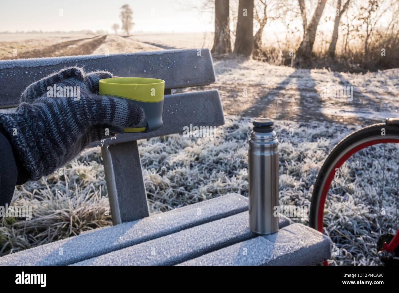 Main dans une mitaine tient une tasse avec une boisson chaude, sur le fond d'un thermos, qui se tient sur un banc, un matin gelé. Banque D'Images