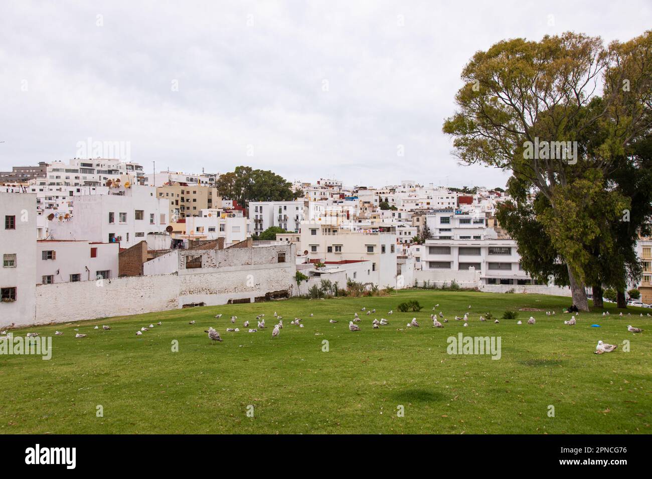 Tanger, Maroc 2022: Centre-ville médina avec murs blancs et boutiques Banque D'Images