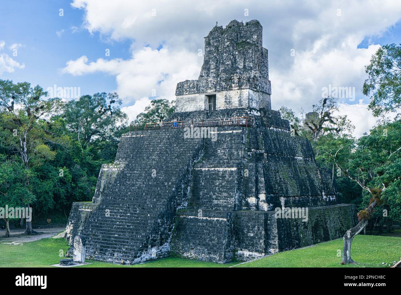 Temple Maya de Tikal Guatemala avec ciel bleu nuageux entouré d'une jungle verte et luxuriante Banque D'Images