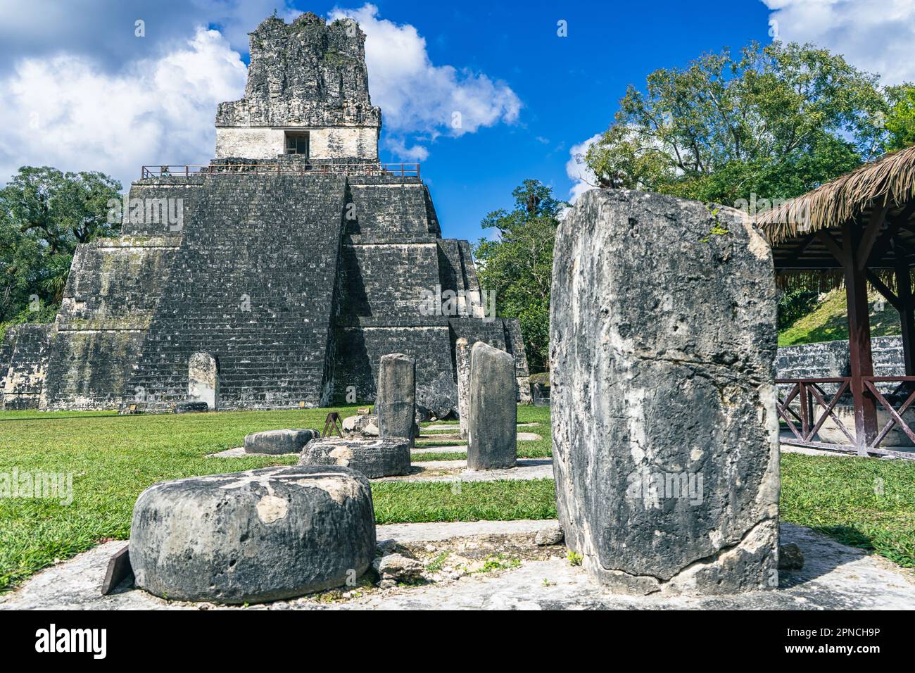 Temple Maya de Tikal Guatemala avec ciel bleu nuageux entouré d'une jungle verte et luxuriante Banque D'Images