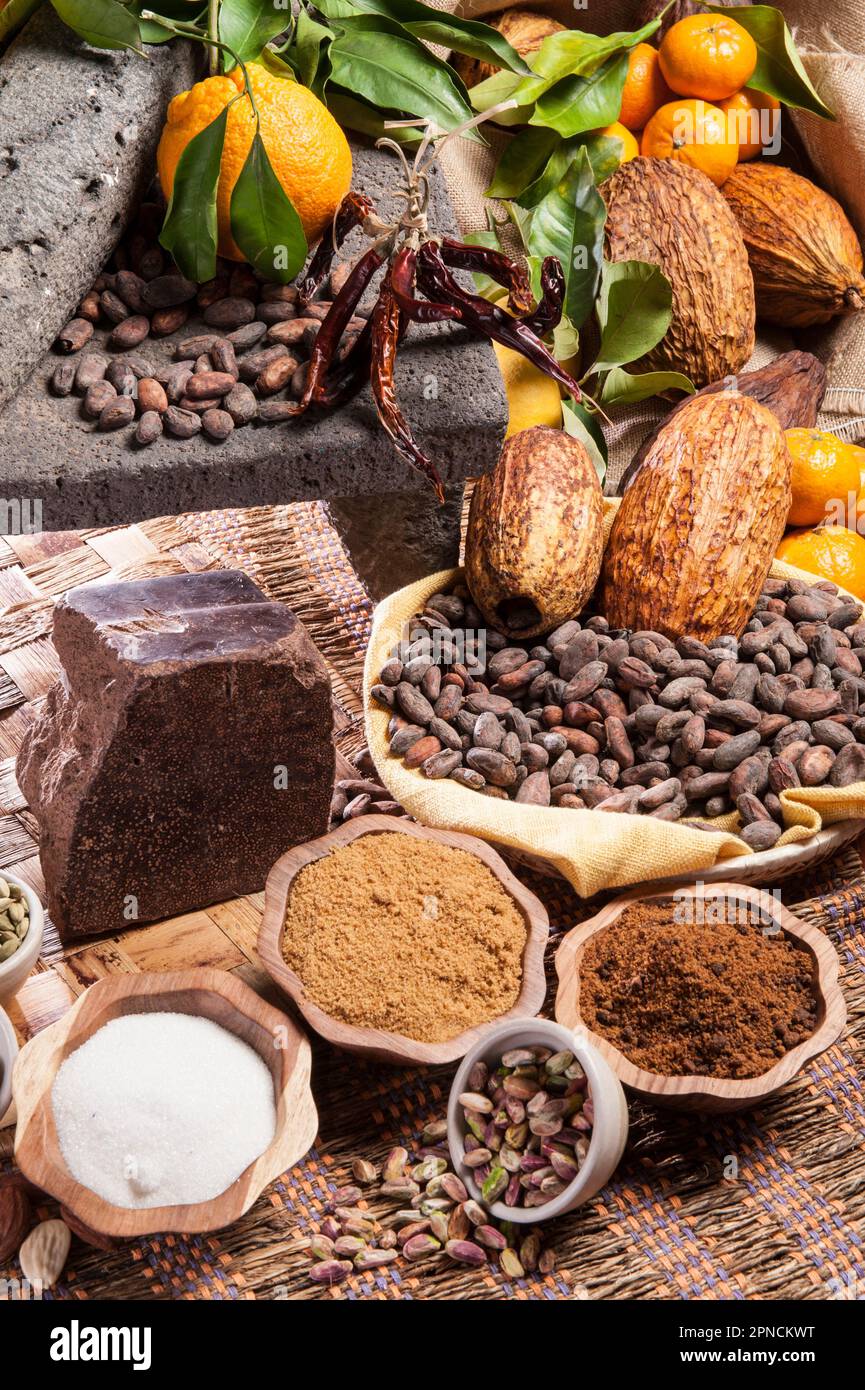 Une vie encore avec une pierre ancienne Metate (Une pierre plate avec une surface légèrement concave, utilisée avec une autre pierre pour la mouture de graines de cacao) et coc brut Banque D'Images