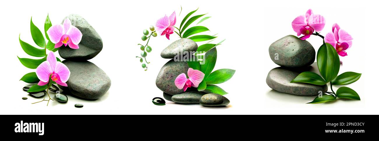 Photo de compositions avec pierres de basalte, grande orchidée rose et feuilles vertes sur fond blanc. Objets isolés pour le graphique de fond d'écran. Photo japonaise Banque D'Images