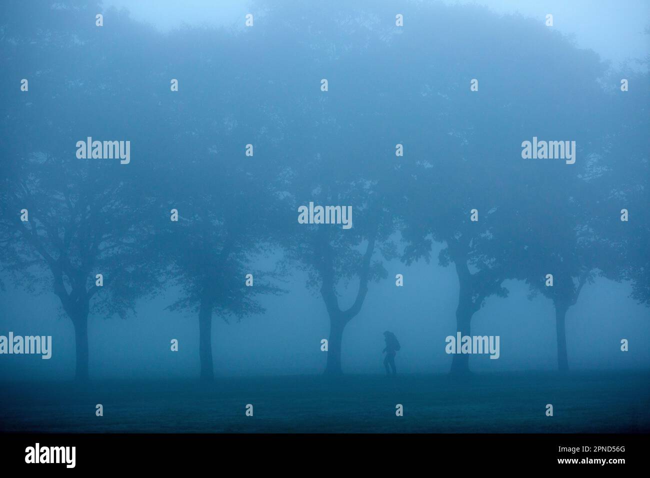 Un piéton marche dans un brouillard dense dans un parc, Ilford, est de Londres, le matin. Banque D'Images