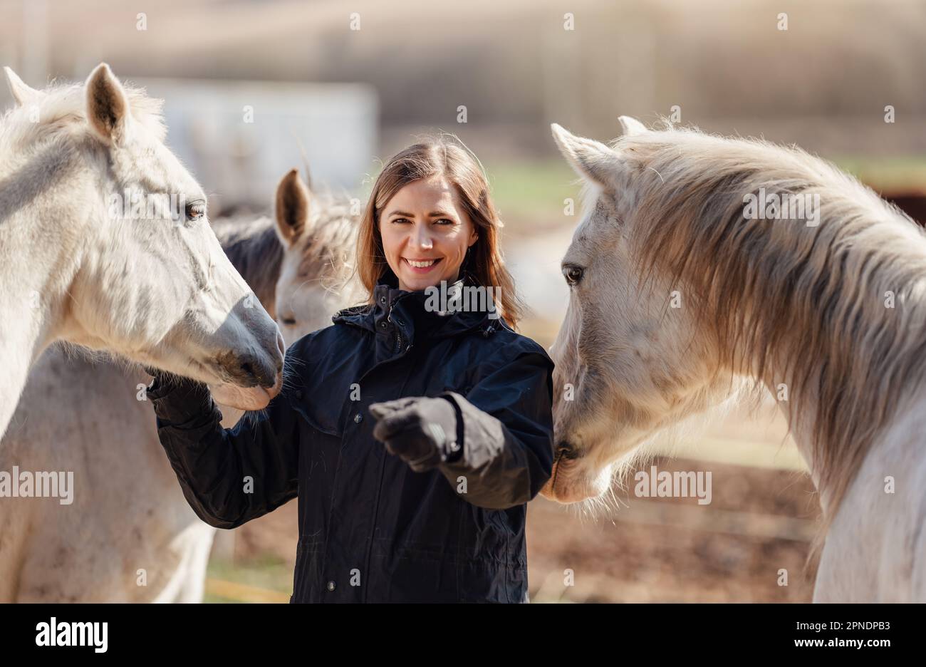 Jeune femme en blouson d'équitation noir debout près d'un groupe de chevaux blancs arabes souriant heureux, un de chaque côté, détail gros plan Banque D'Images