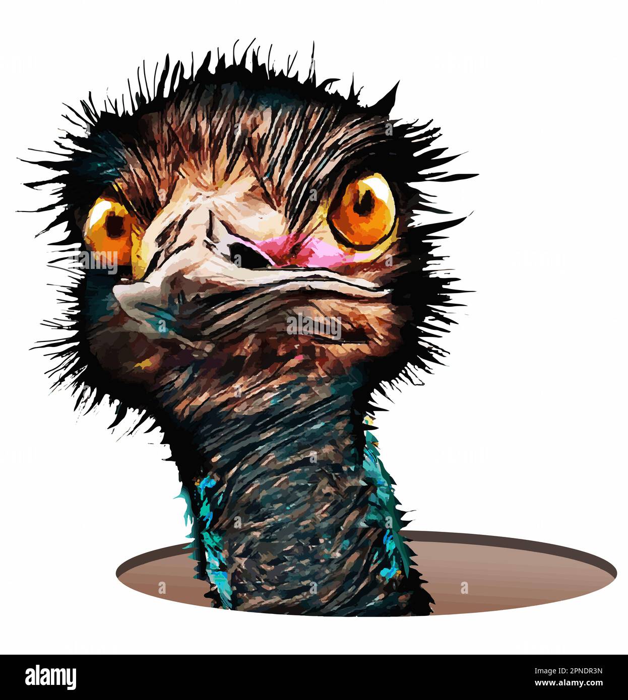 Un regard drôle émeu pokes il est tête hors d'un trou dans une image vectorielle. Illustration de Vecteur