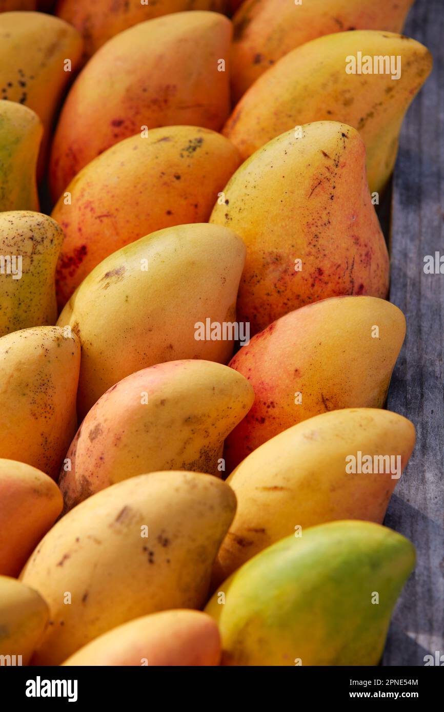 Fruit de mangue sur un stand de rue à Holbox, Yucatan, Mexique. Banque D'Images