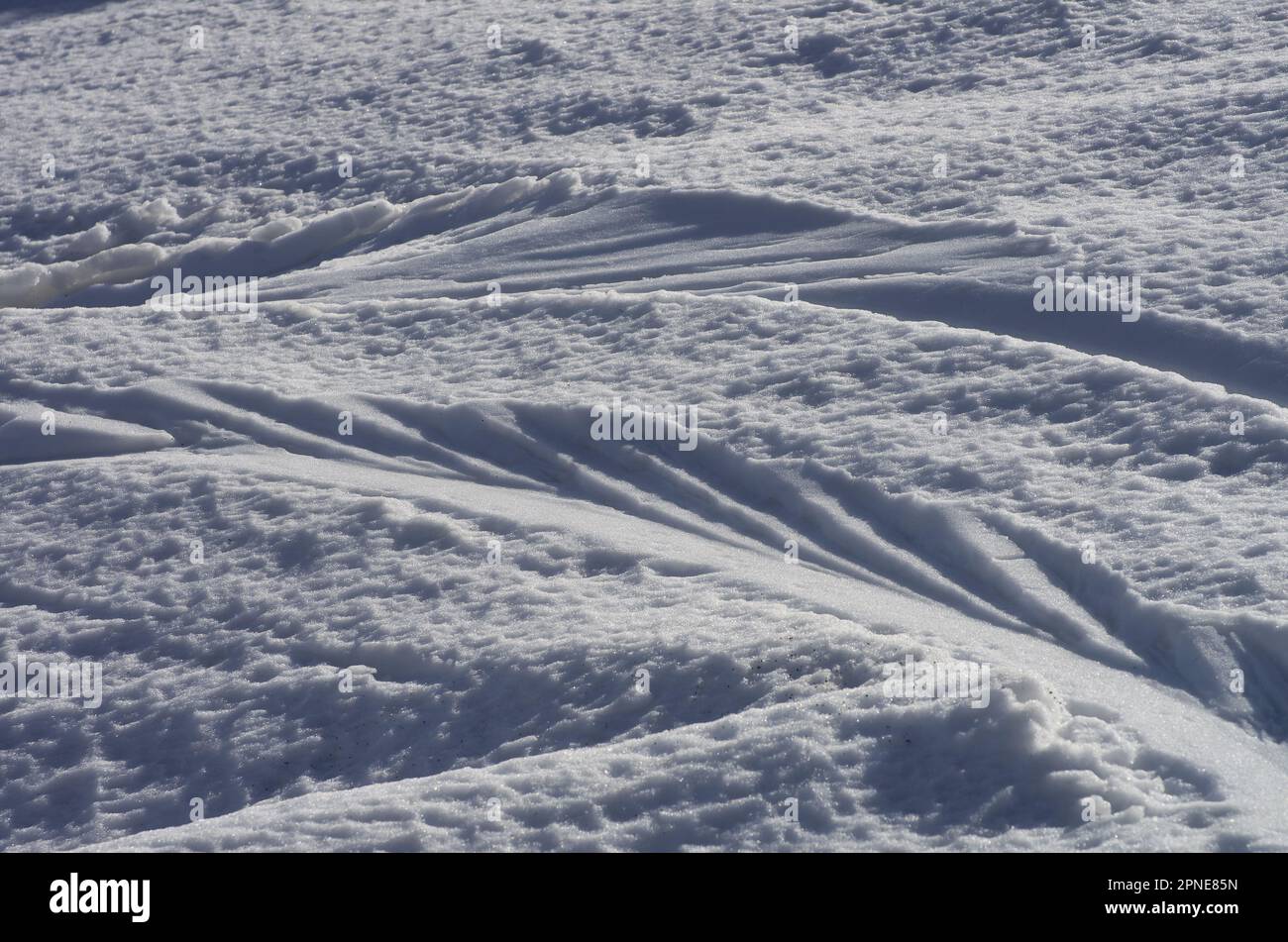 Fond de neige avec dérapage de skis en hiver dans le parc national de l'Etna, Sicile, Italie Banque D'Images