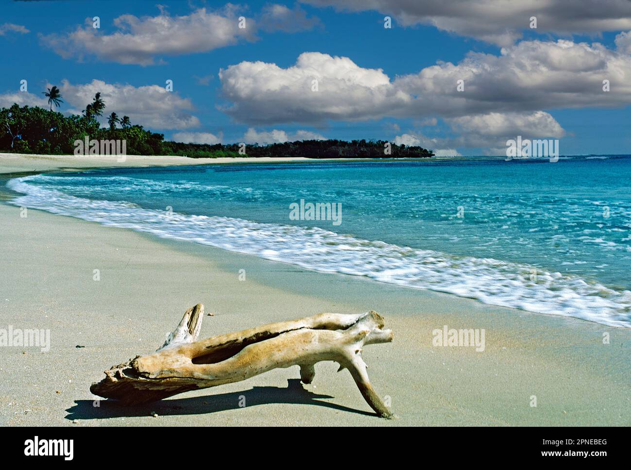 Plage de Natadola, Viti Levu, Fidji Banque D'Images