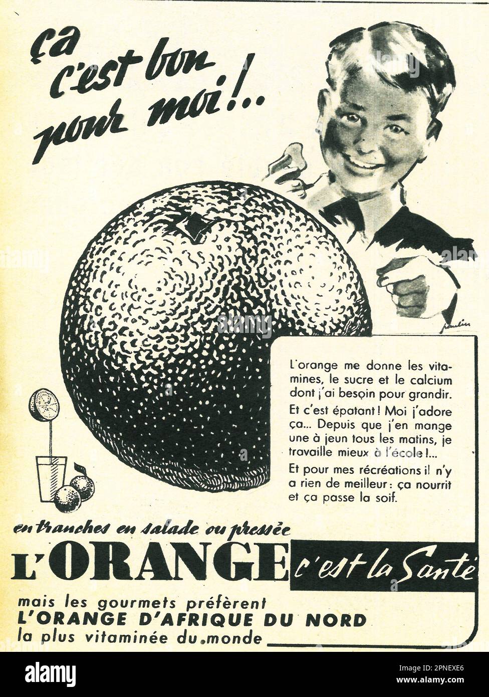 Oranges d'Afrique du Nord. L'ORANGE D'AFRIQUE DU NORD FRUIT VITAMINE C TRAVEL HEALTH ANNONCE IMPRIMÉE FRANÇAISE, 1951 Banque D'Images
