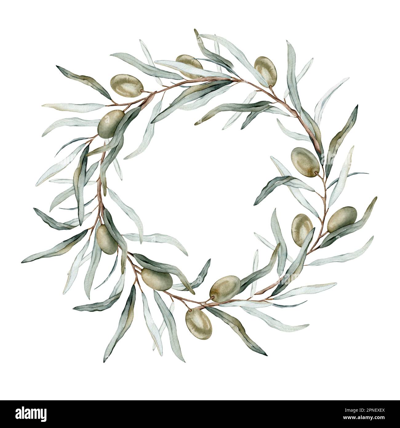 Couronne ronde aquarelle avec baies et feuilles d'olive vertes. Design pour menu, carte de vœux. Bordure fleurie peinte à la main avec fruits d'olive et arbre Banque D'Images