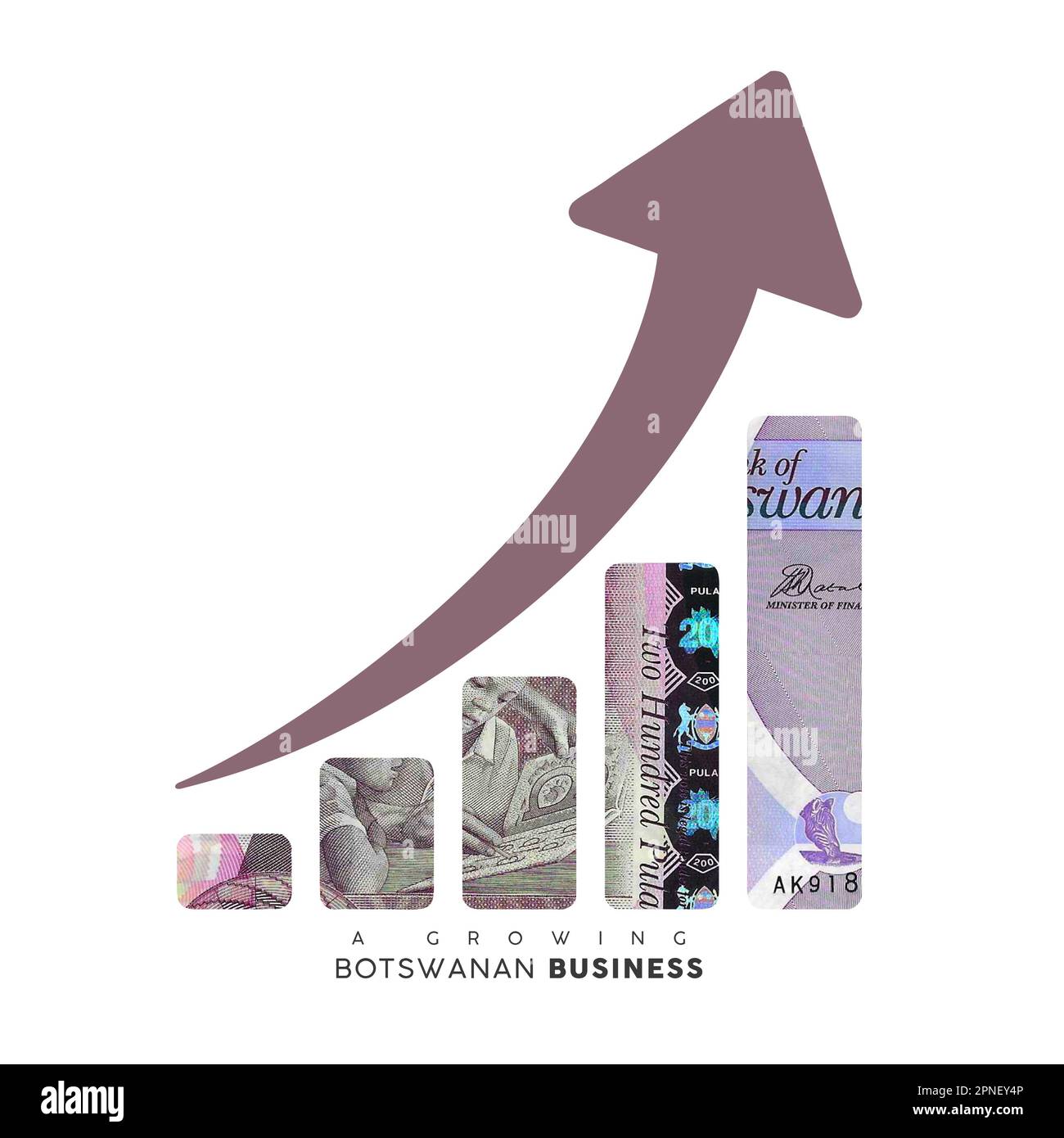 Signe de croissance financière fait de piles de Botswanan Pula notes. 3D restitution de l'argent du Botswanan arrangé sous forme d'un graphique à barres isolé sur la bande blanche Banque D'Images
