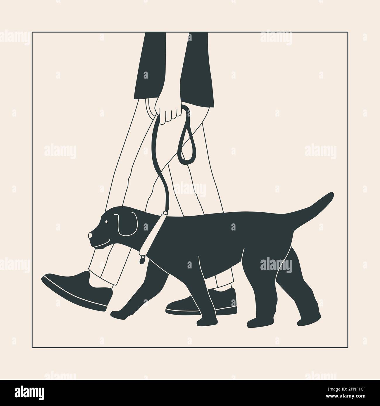 Homme avec un grand chien en laisse. Spectacle de chiens ou promenade en ville ou dans le parc. Graphiques vectoriels à contour plat. Illustration de Vecteur