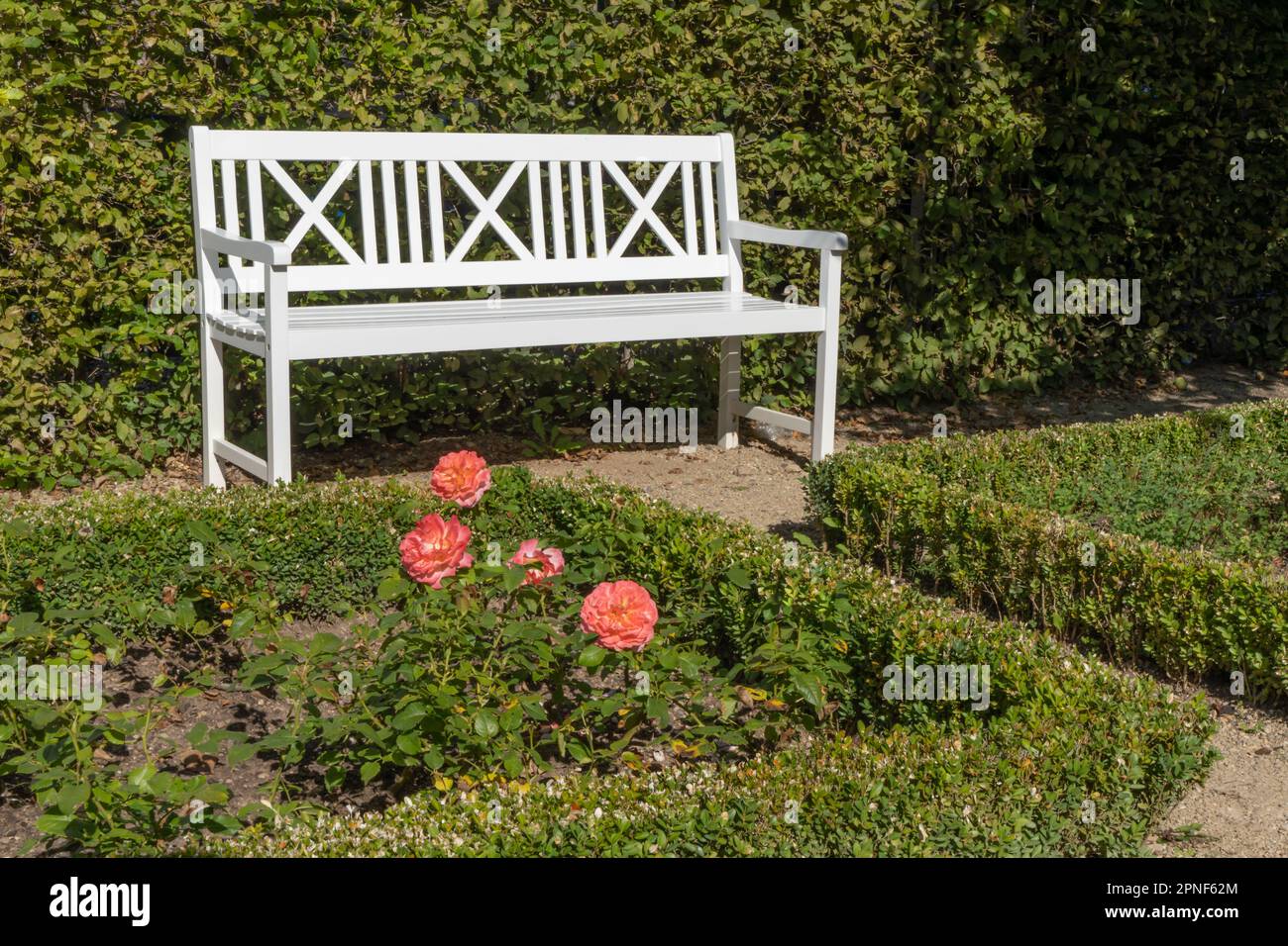 Un vieux banc blanc en bois dans un parc verdoyant. Un endroit idyllique pour se détendre et profiter de la nature Banque D'Images