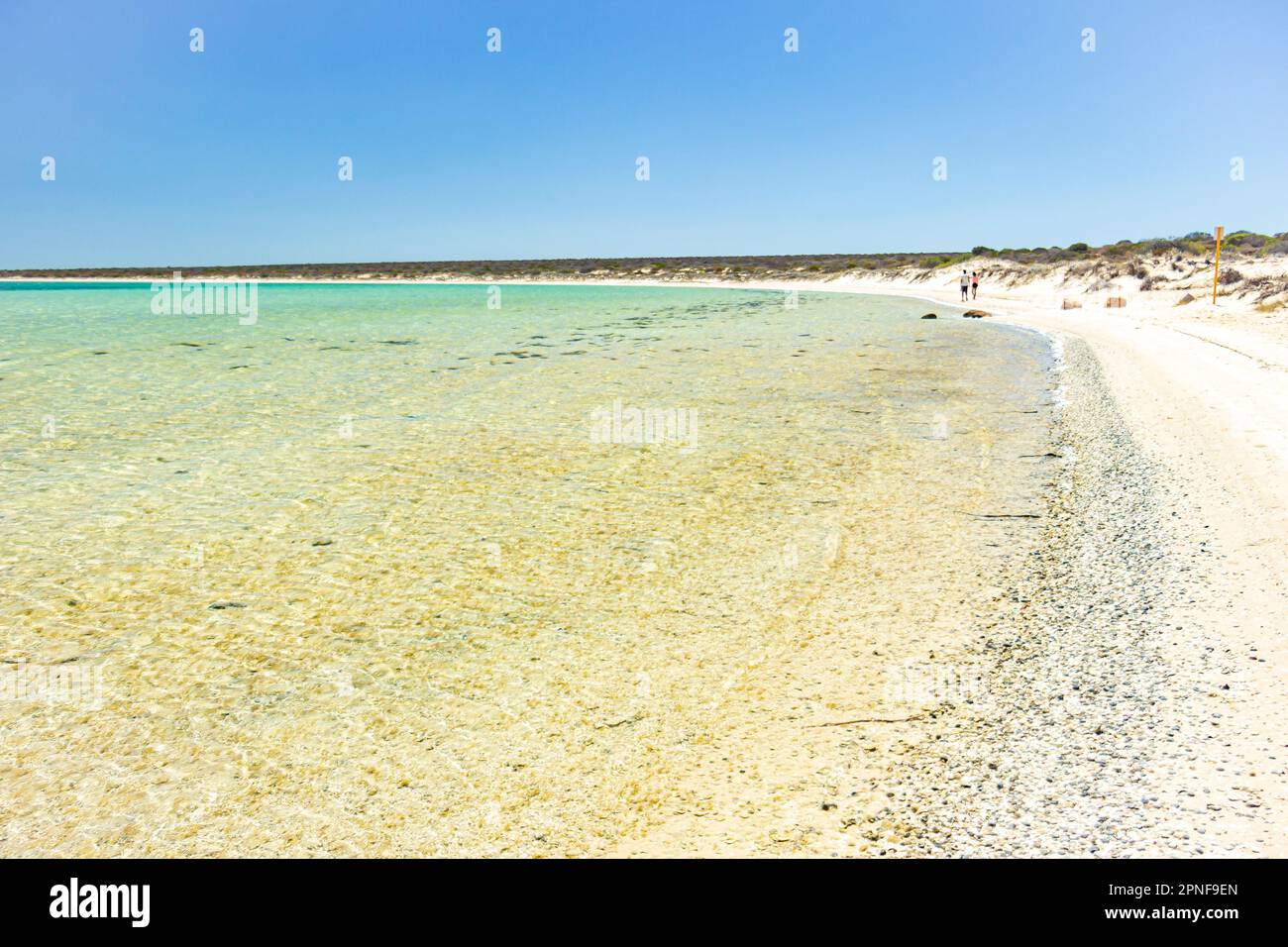 La plage de Little Lagoon près de Denham dans la baie de Shark, Australie, Australie. Banque D'Images