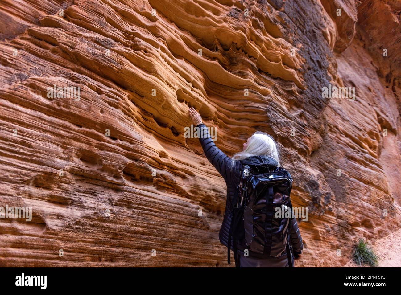 États-Unis, Utah, parc national de Zion, femme blonde senior randonnée Banque D'Images