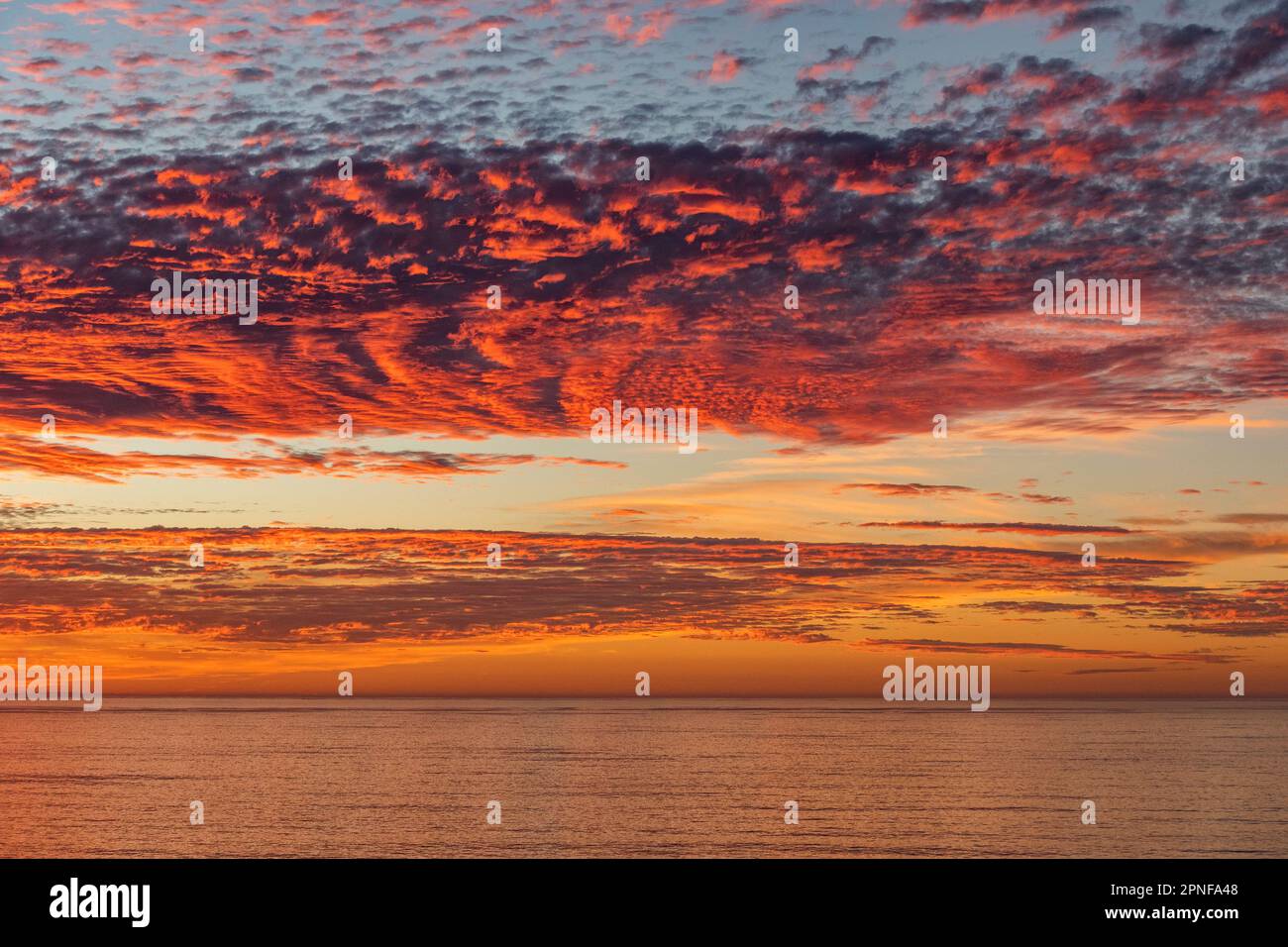 Paysage marin de Big sur au coucher du soleil Banque D'Images
