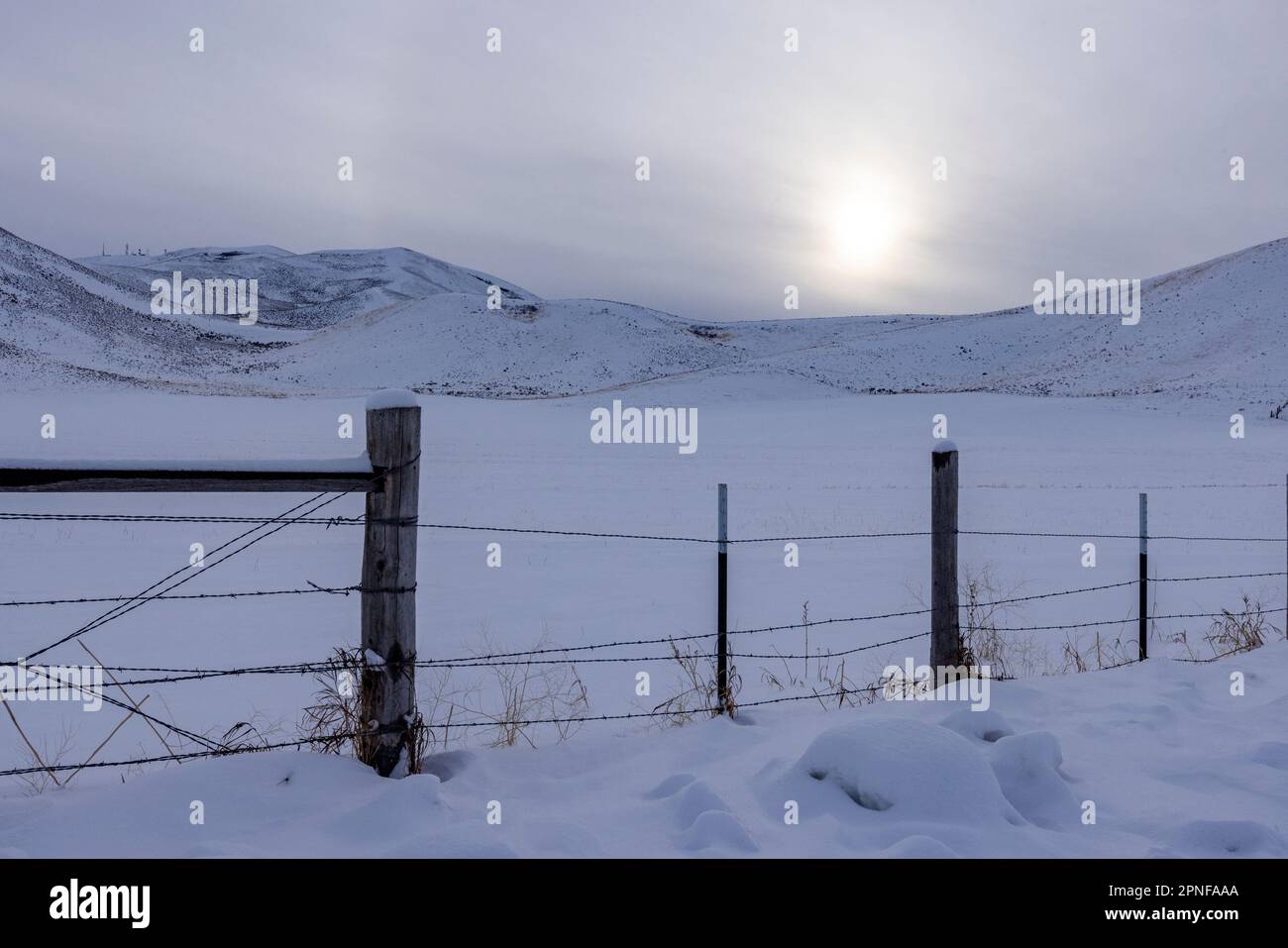 États-Unis, Idaho, Bellevue, neige terrain rural couvert avec clôture Banque D'Images